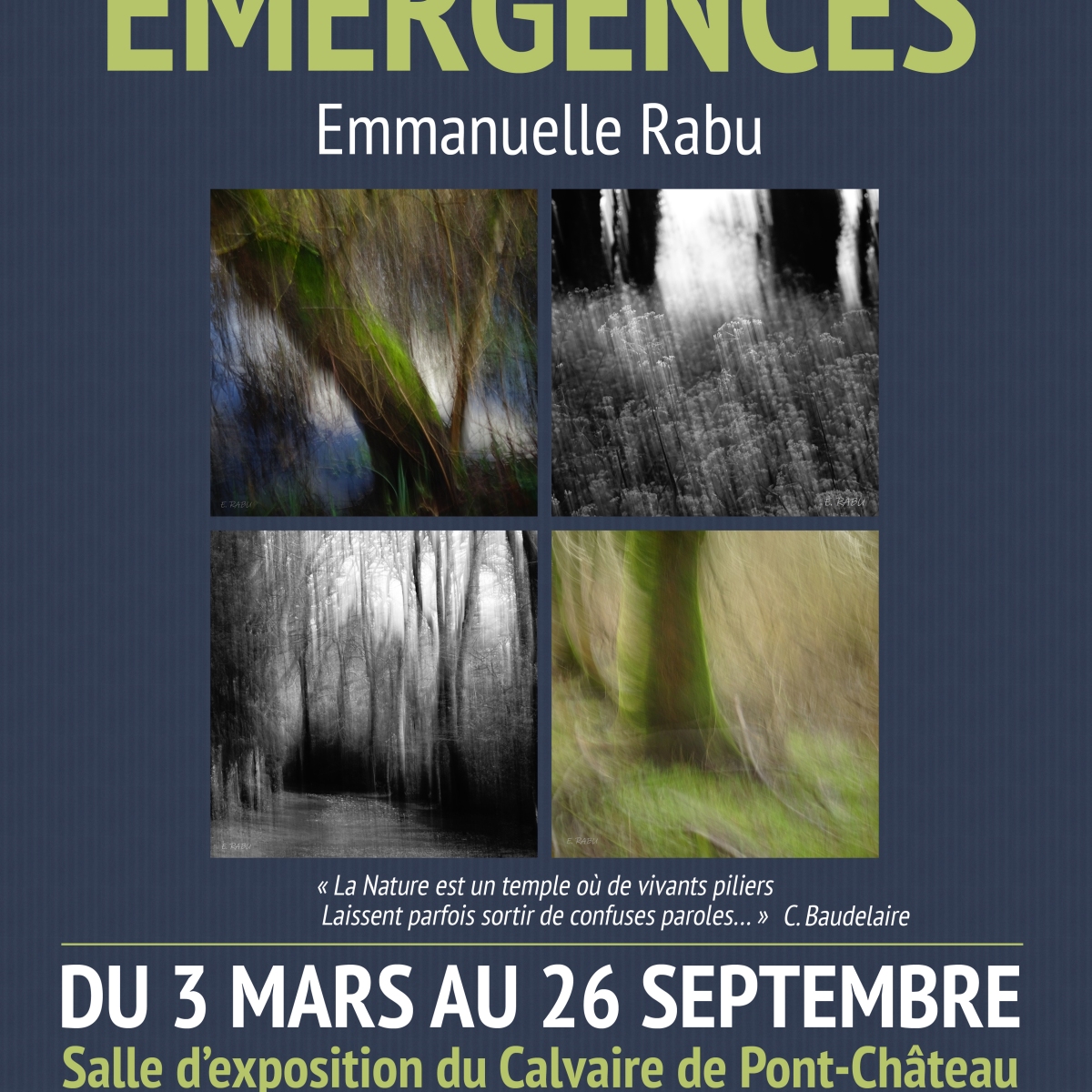 Exposition « Émergences » à Pont-Château